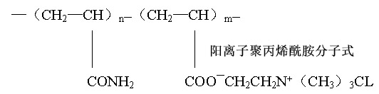 阳离子国产精品麻豆欧美日韩WW结构式